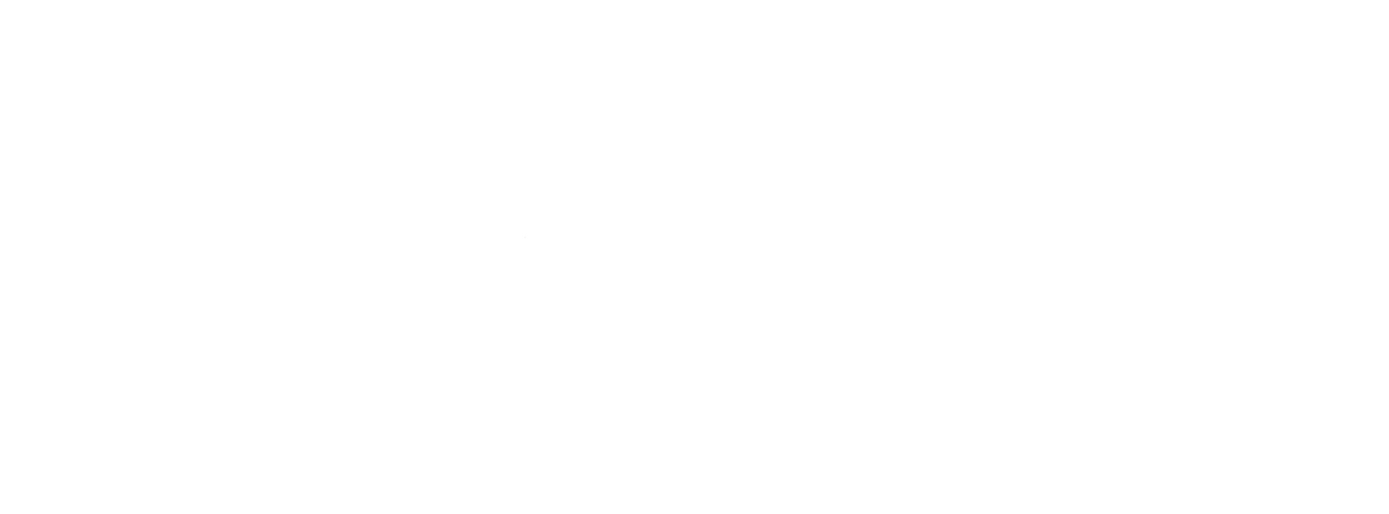 Logo Ford White Rettangolare